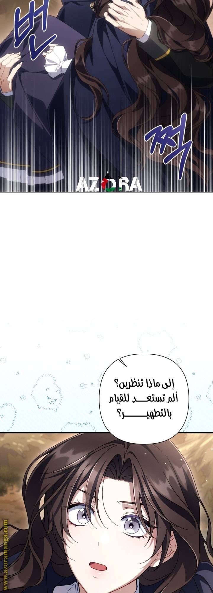 الصفحة 41