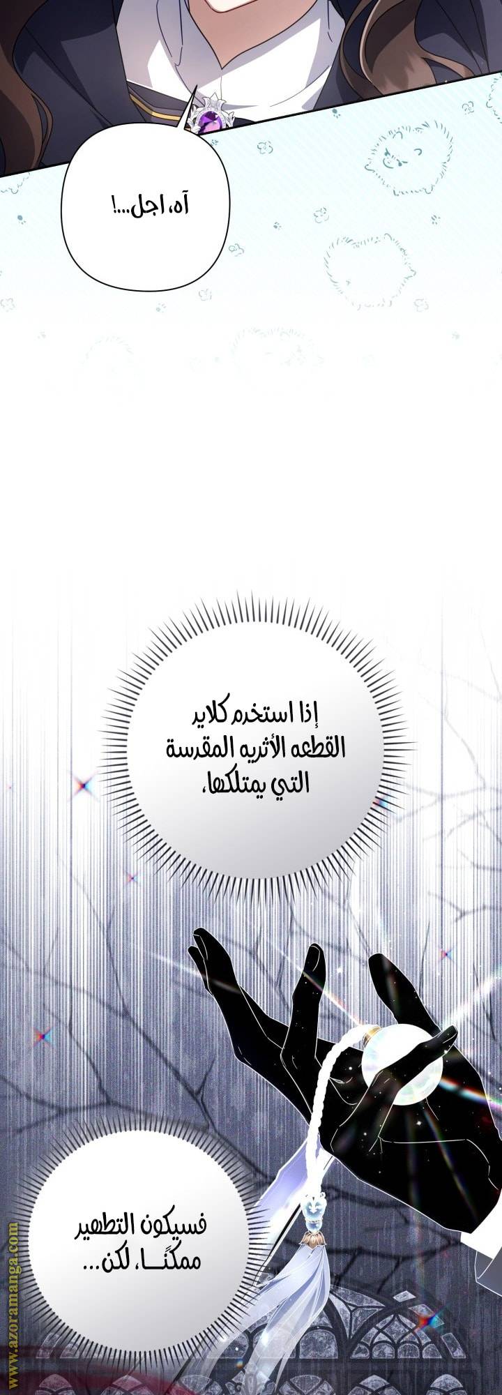 الصفحة 42