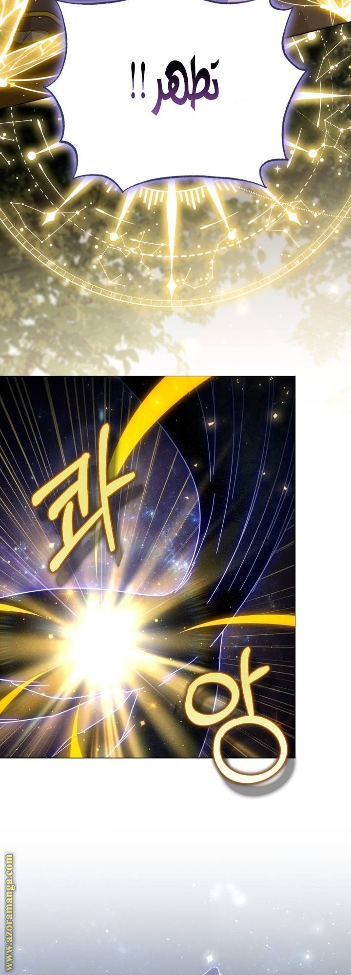 الصفحة 48