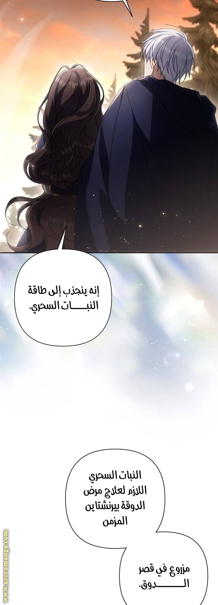 الصفحة 54
