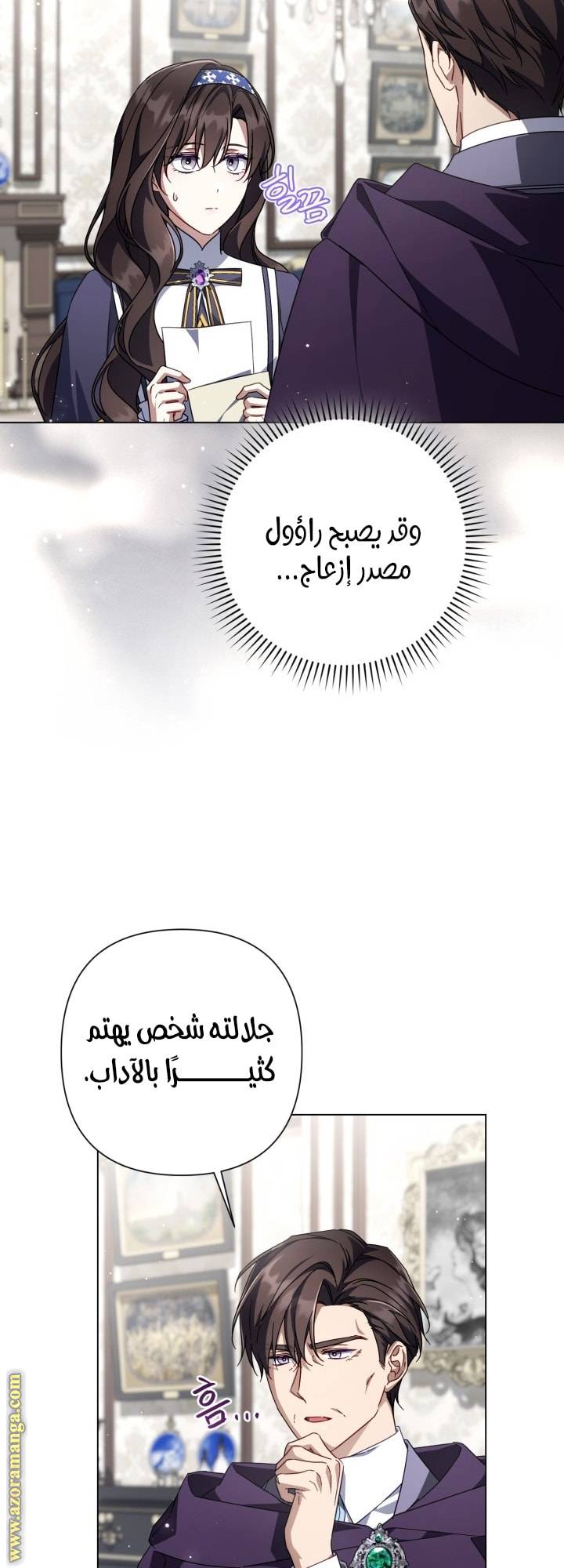 الصفحة 27