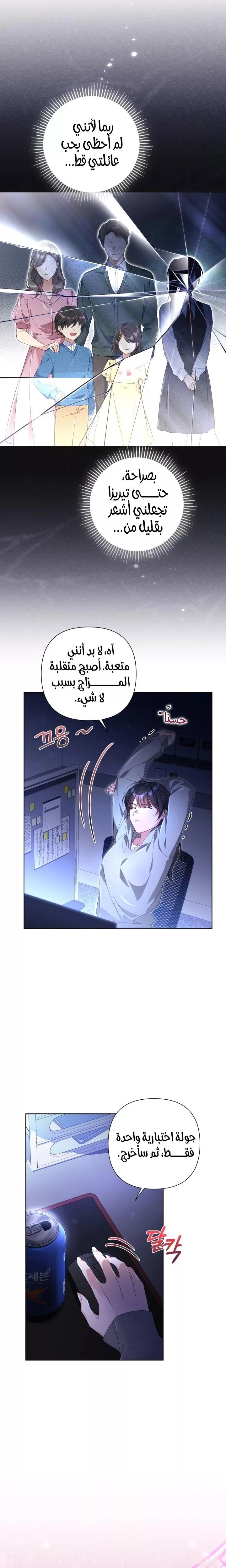 الصفحة 13