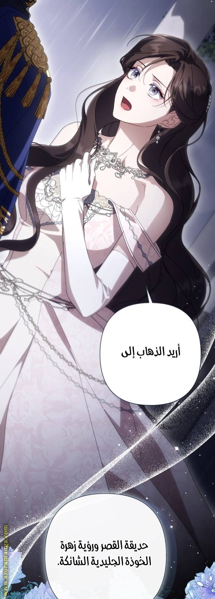 الصفحة 40