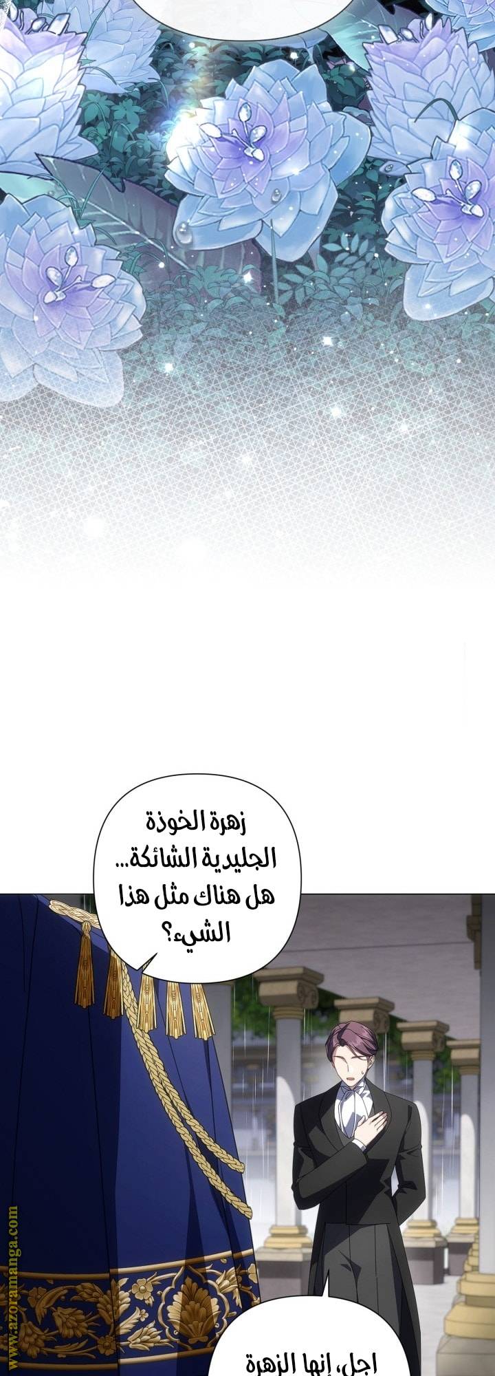 الصفحة 41