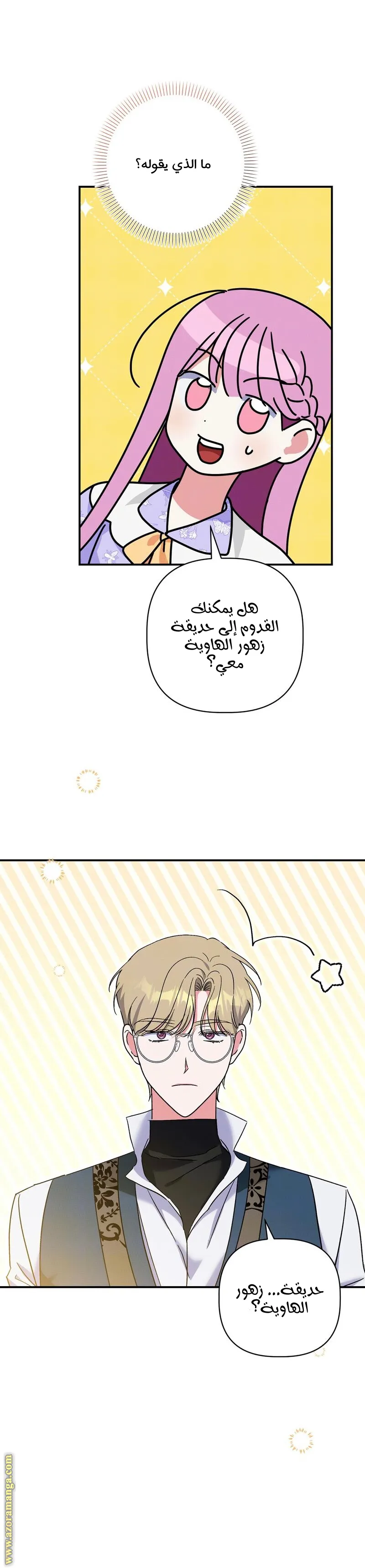الصفحة 25