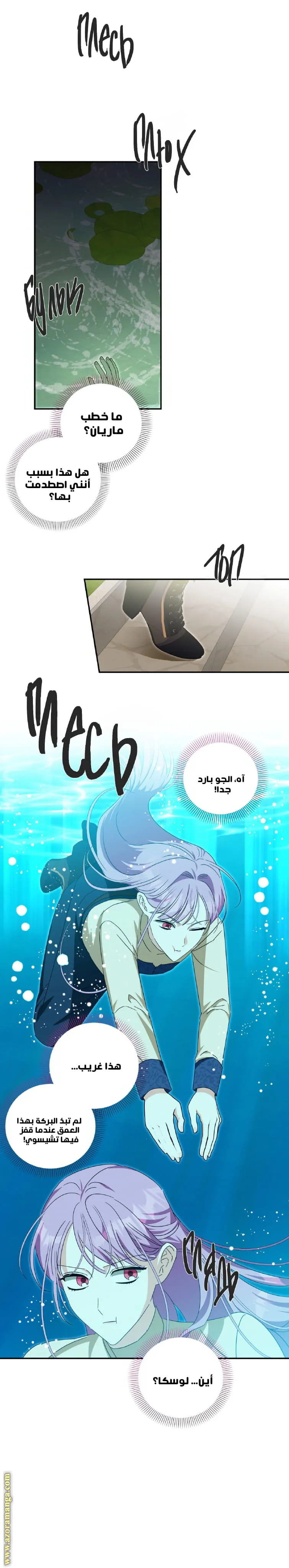 الصفحة 13