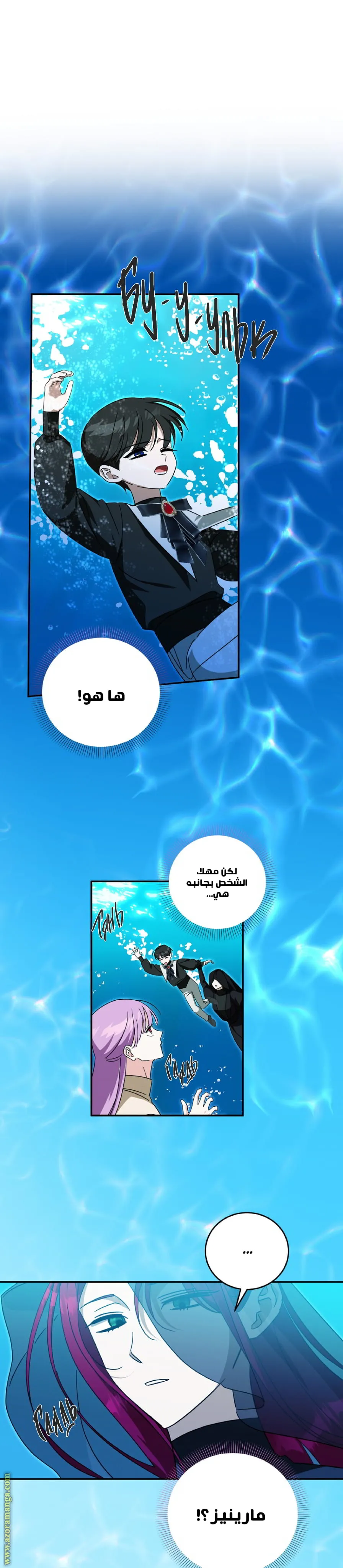 الصفحة 14