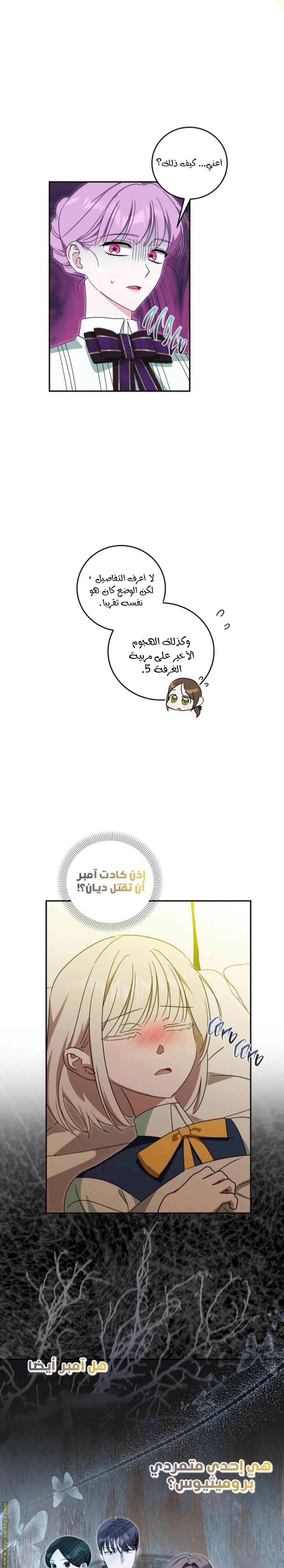 الصفحة 14