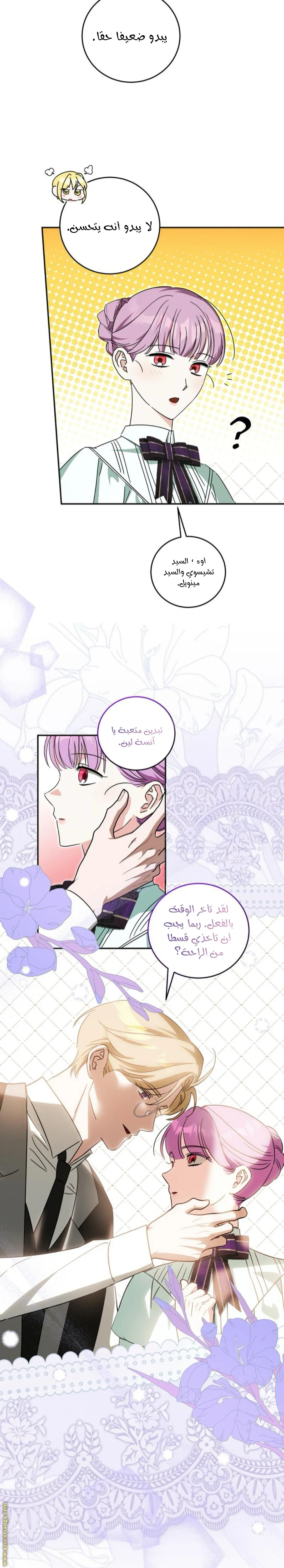 الصفحة 17