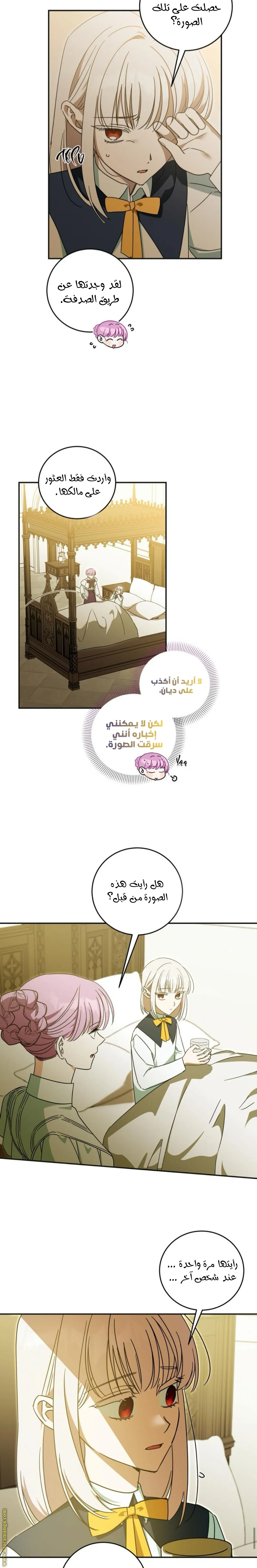 الصفحة 20