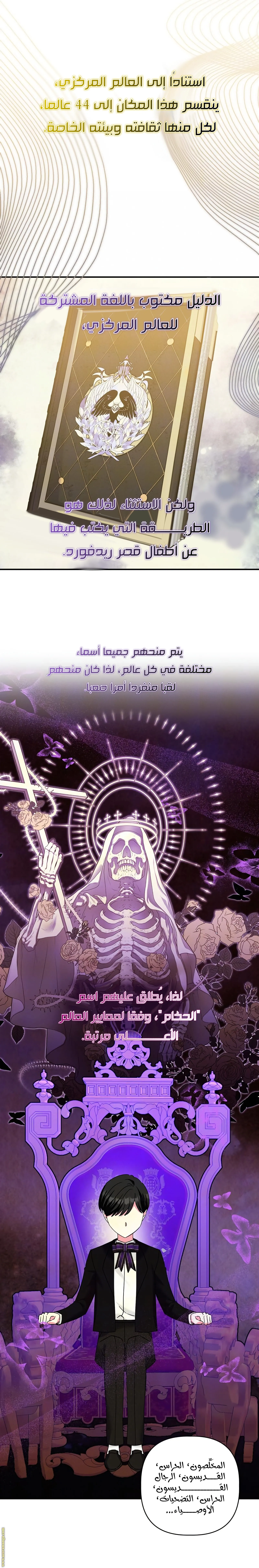 الصفحة 13