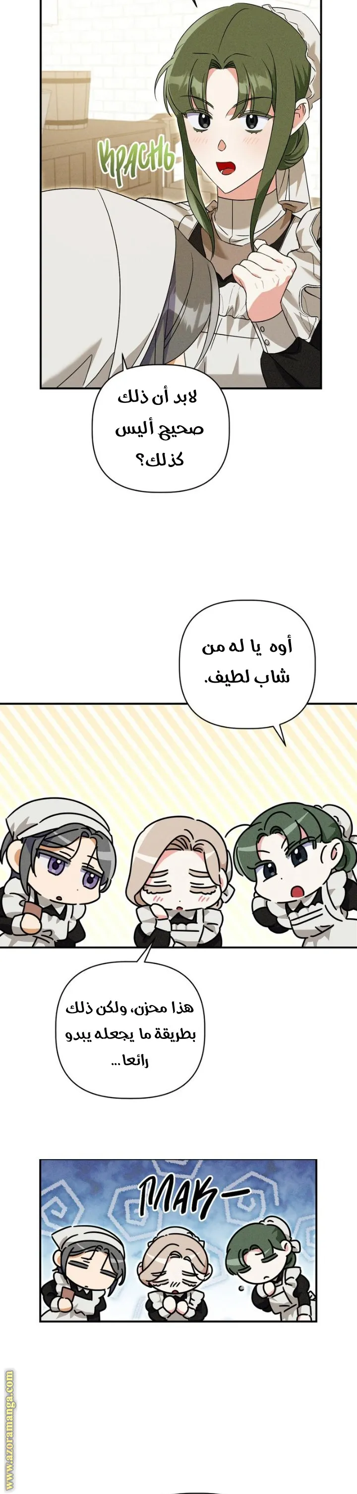 الصفحة 21