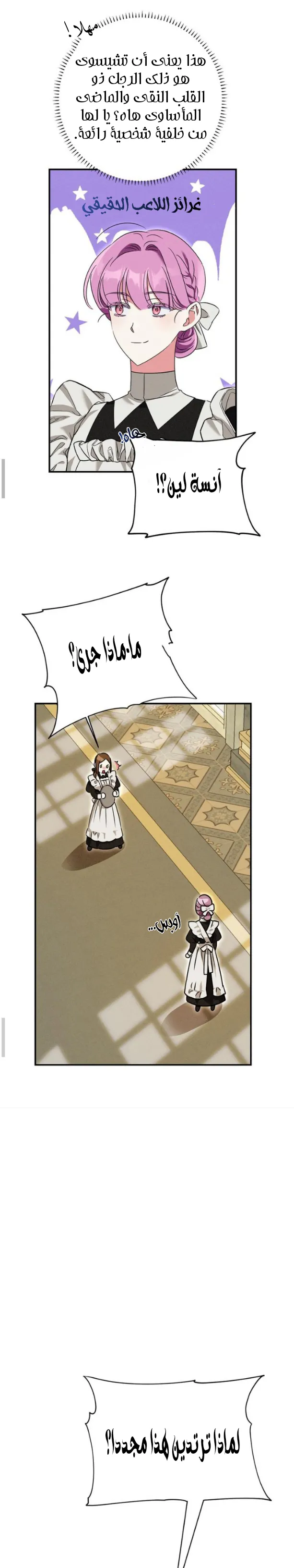 الصفحة 29