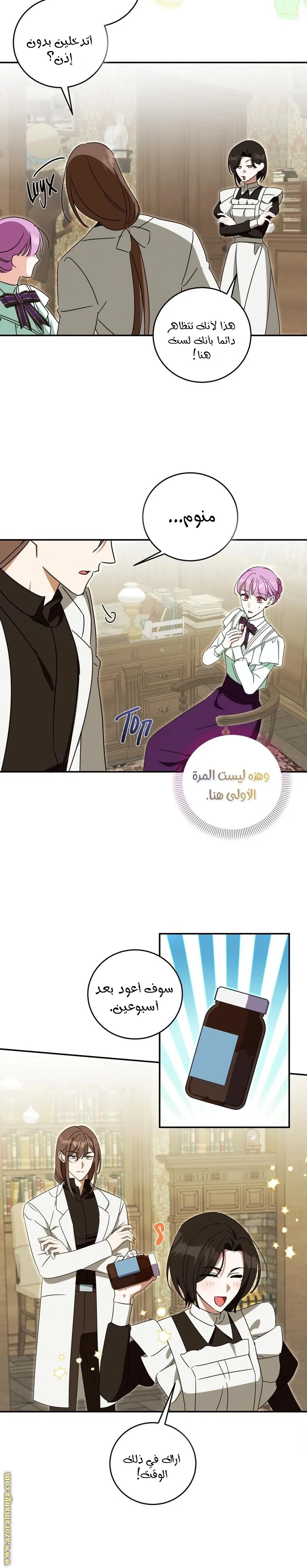 الصفحة 17
