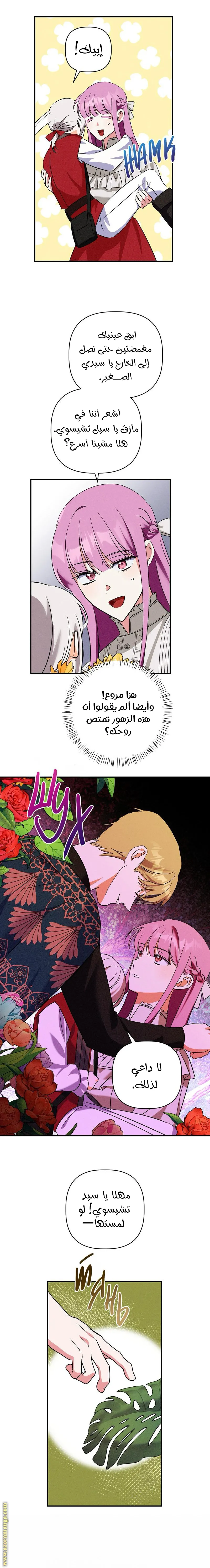 الصفحة 16