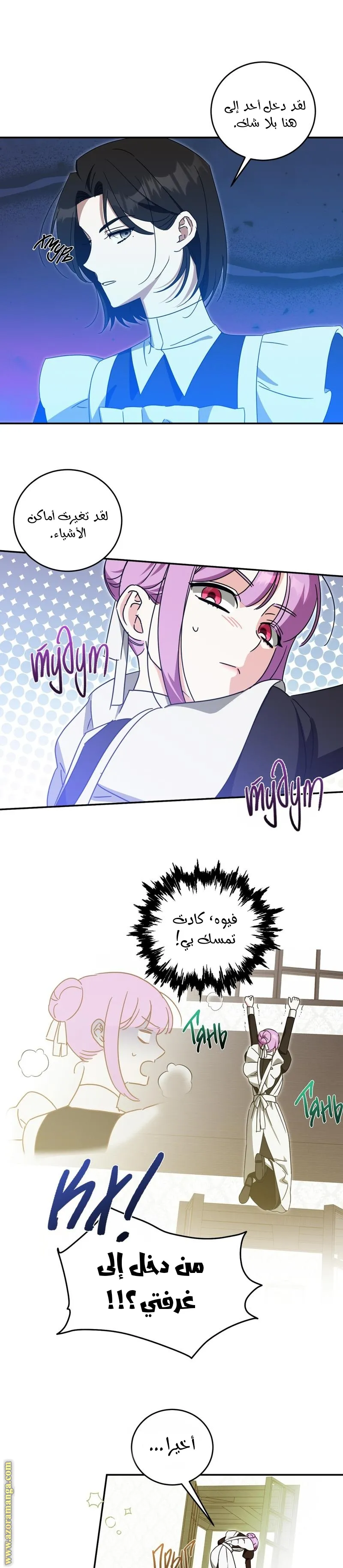 الصفحة 13