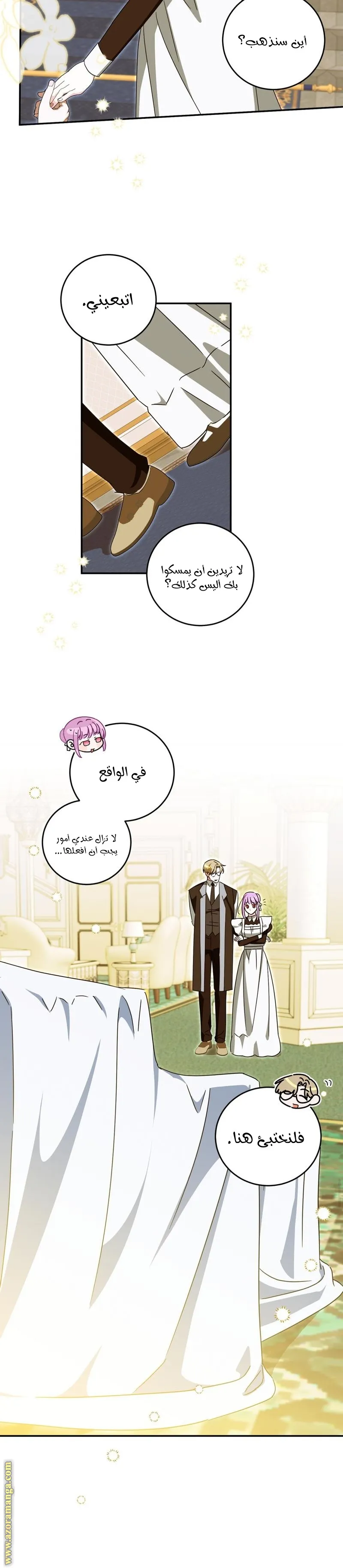 الصفحة 17