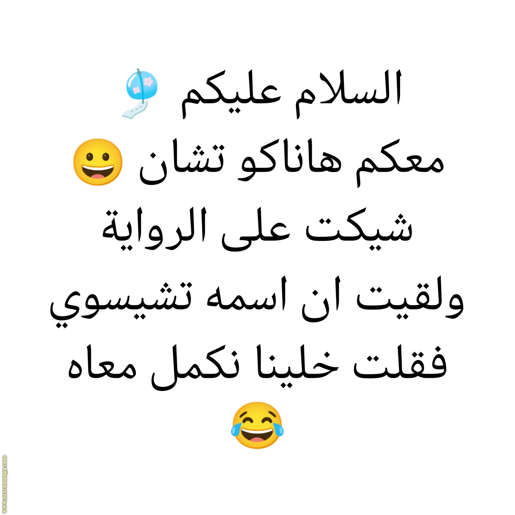 الصفحة 17