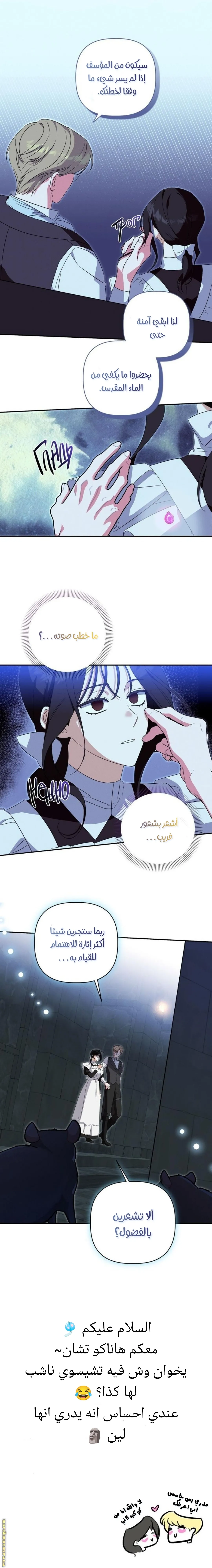 الصفحة 13