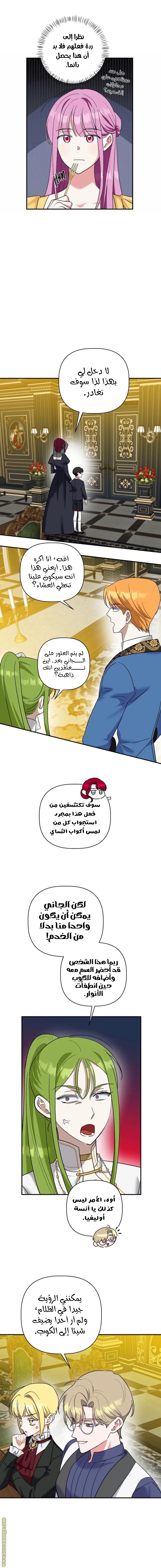 الصفحة 13