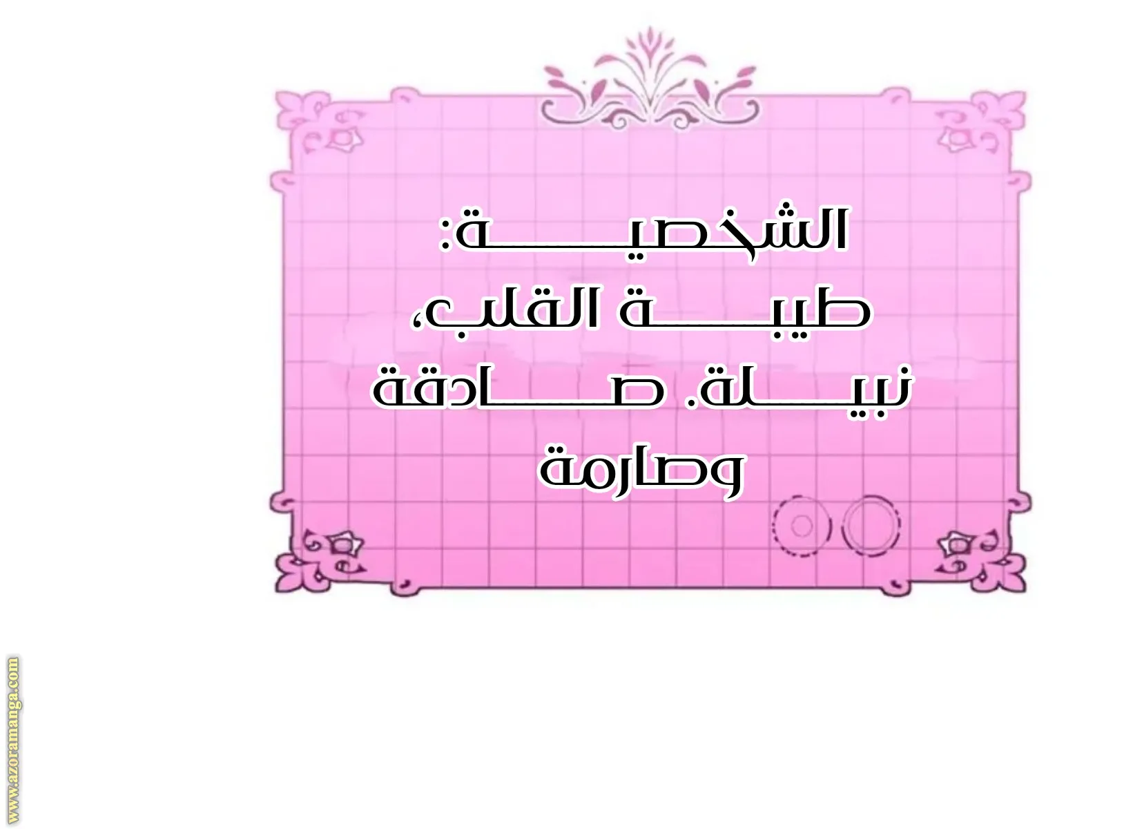 الصفحة 17