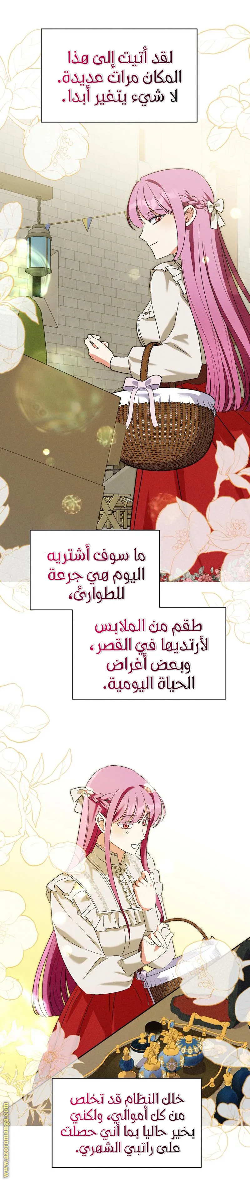 الصفحة 19