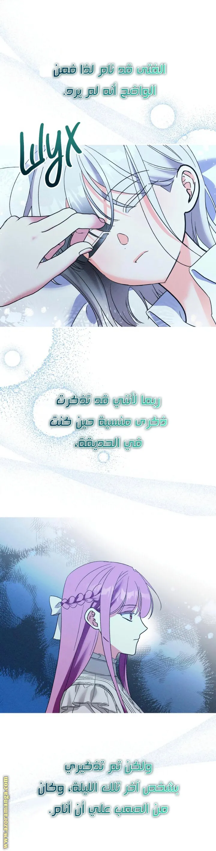 الصفحة 17