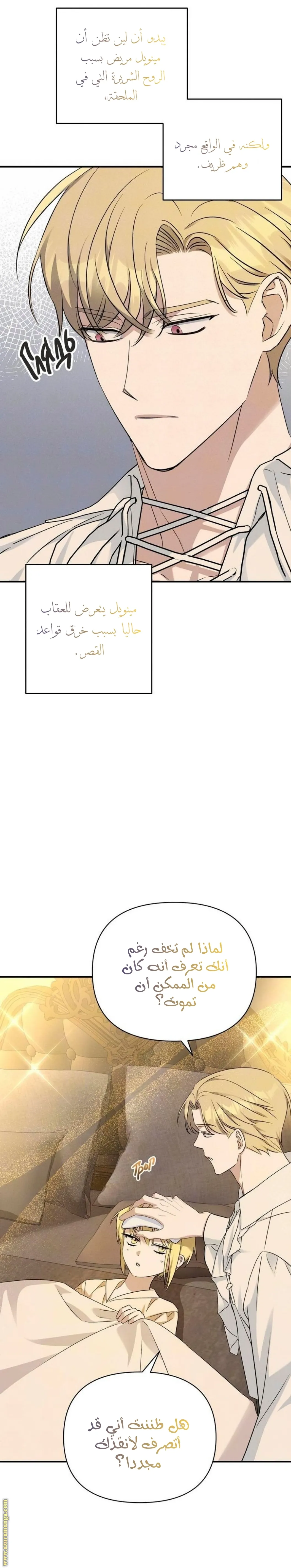 الصفحة 10
