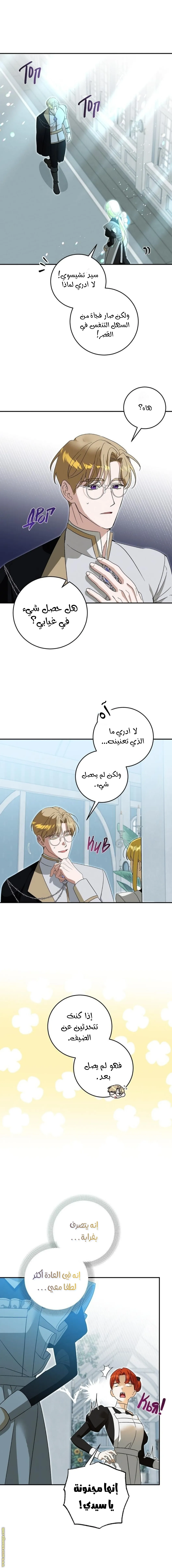 الصفحة 11