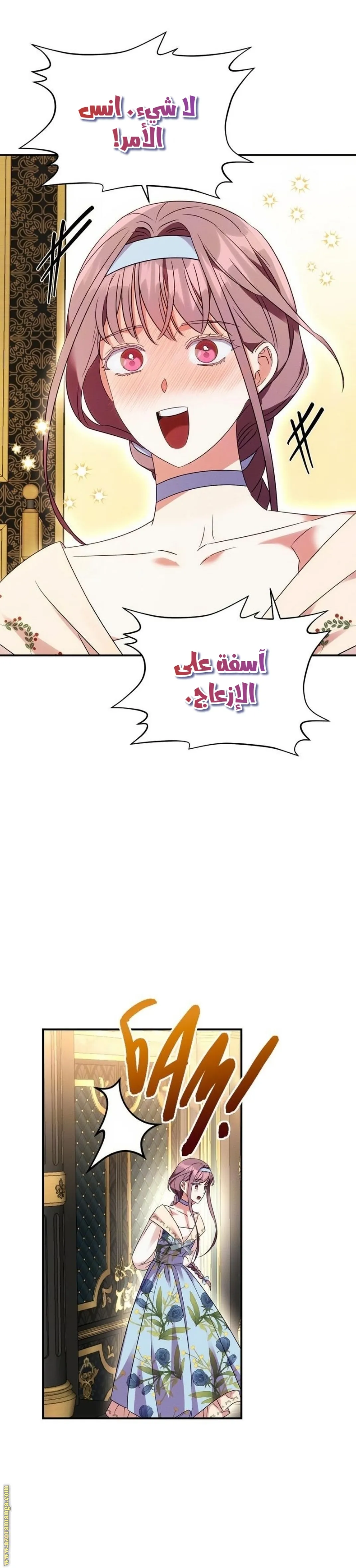 الصفحة 13