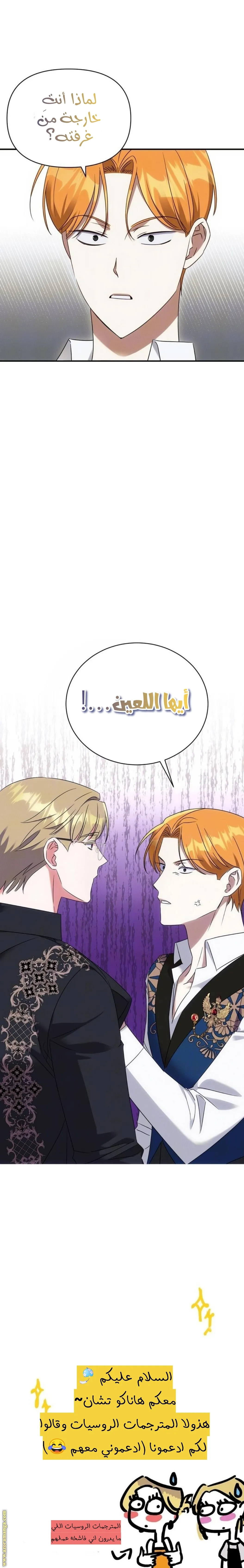 الصفحة 17