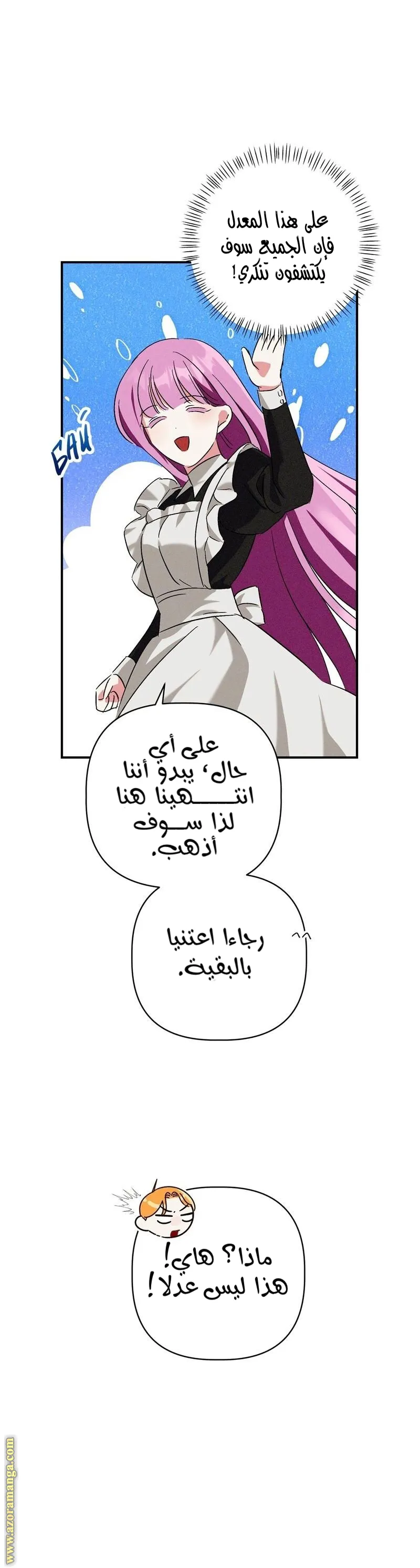 الصفحة 17