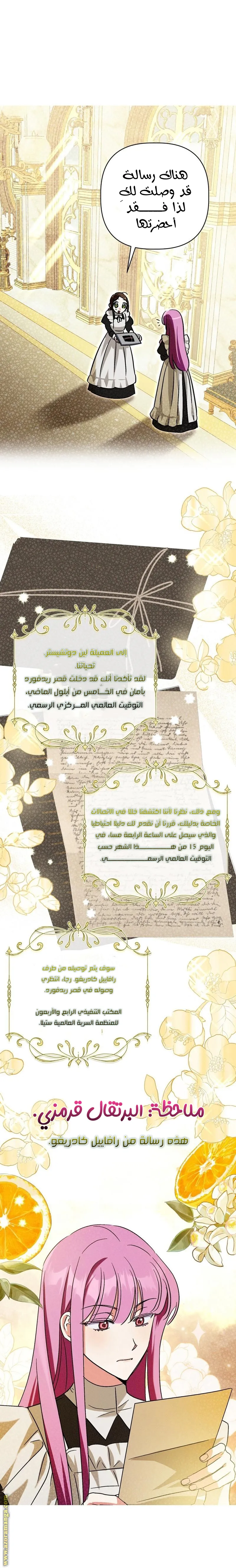 الصفحة 19