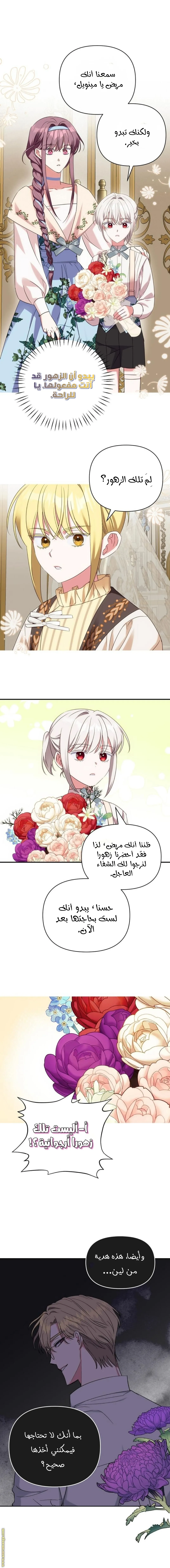 الصفحة 13