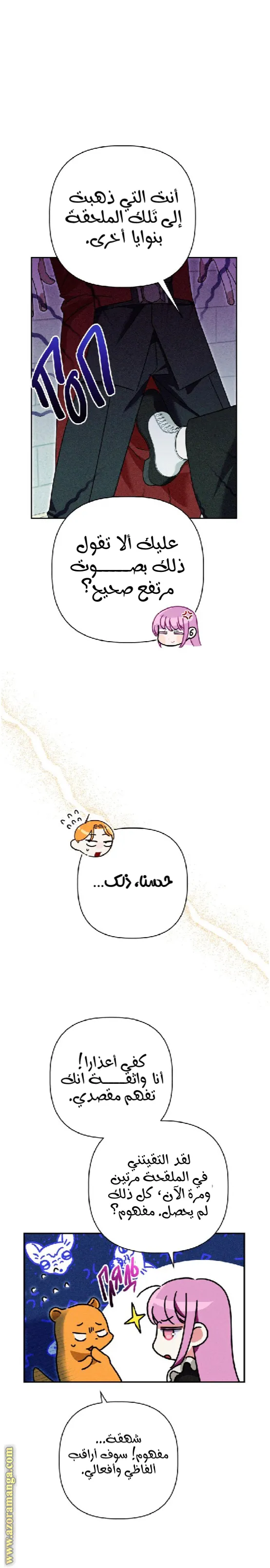الصفحة 13