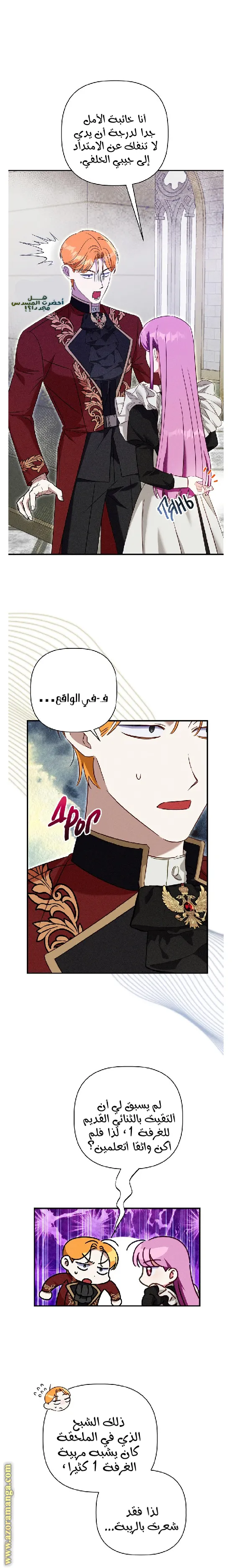 الصفحة 19
