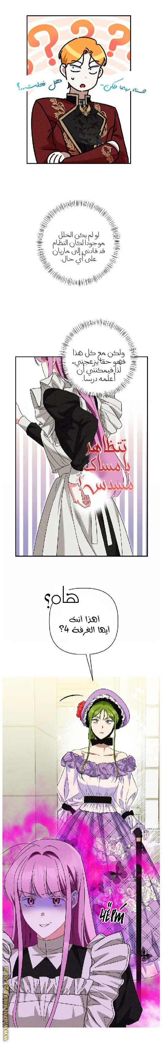 الصفحة 21