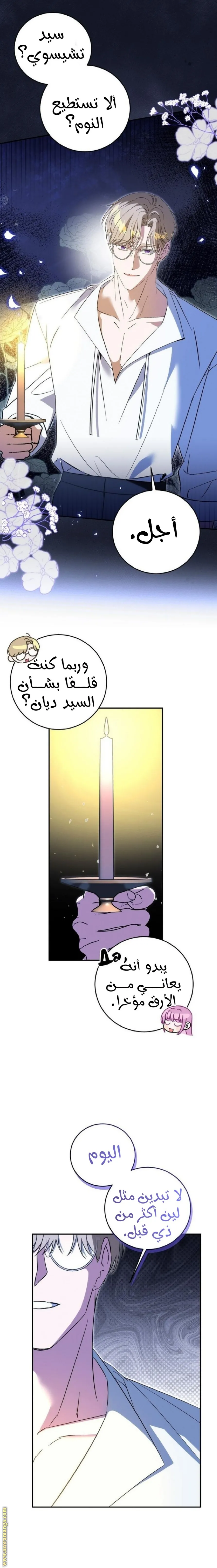 الصفحة 12