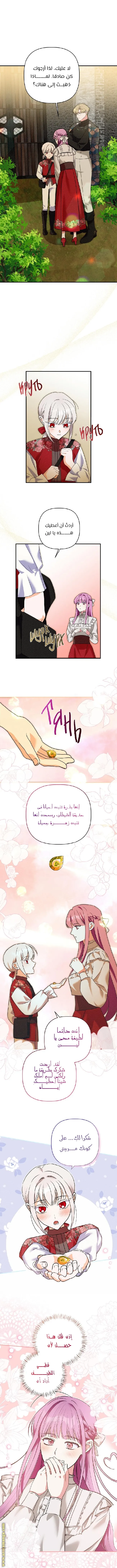 الصفحة 4