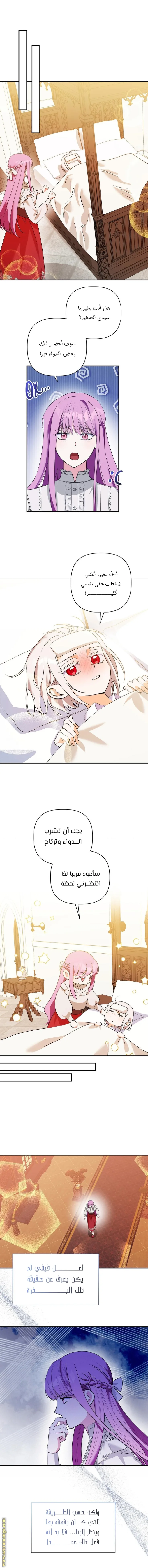 الصفحة 12