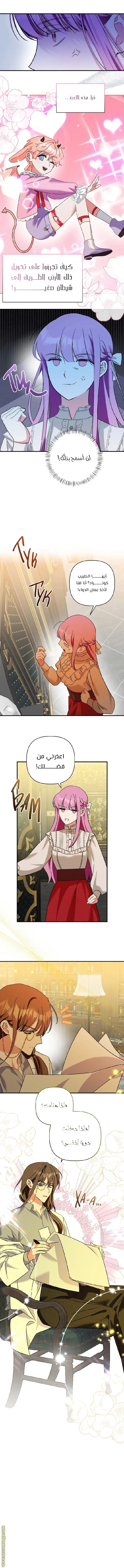 الصفحة 13