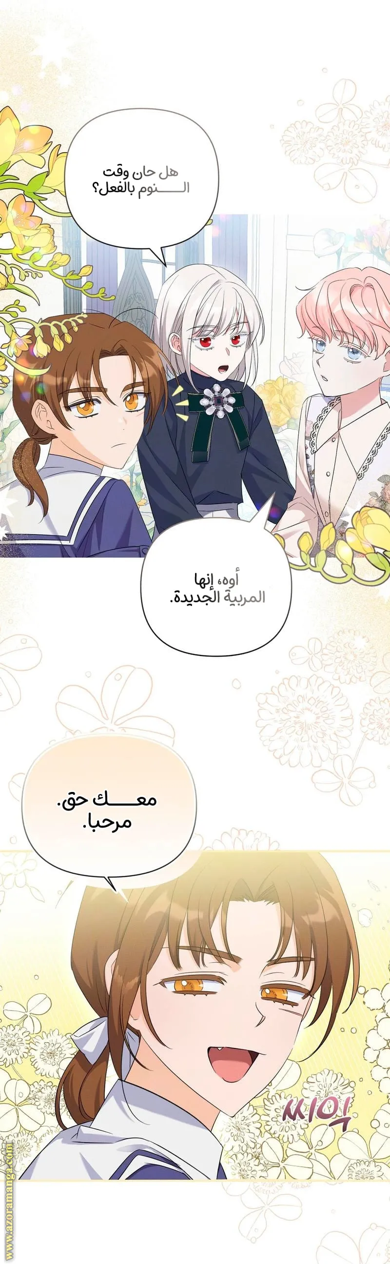 الصفحة 11
