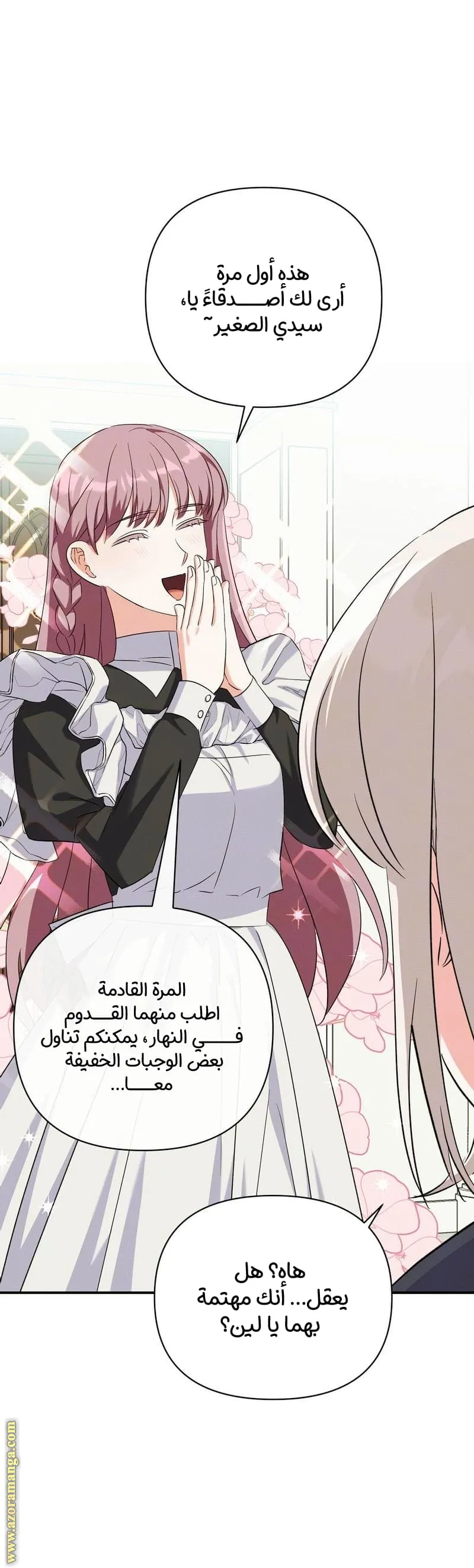 الصفحة 17