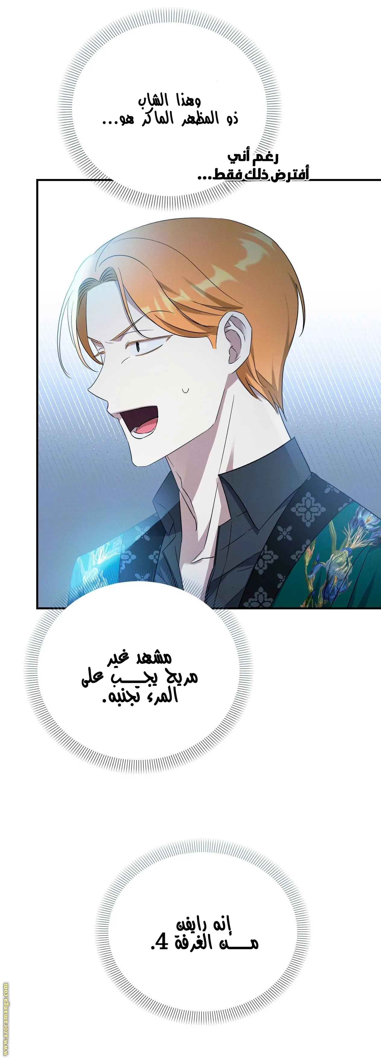 الصفحة 26