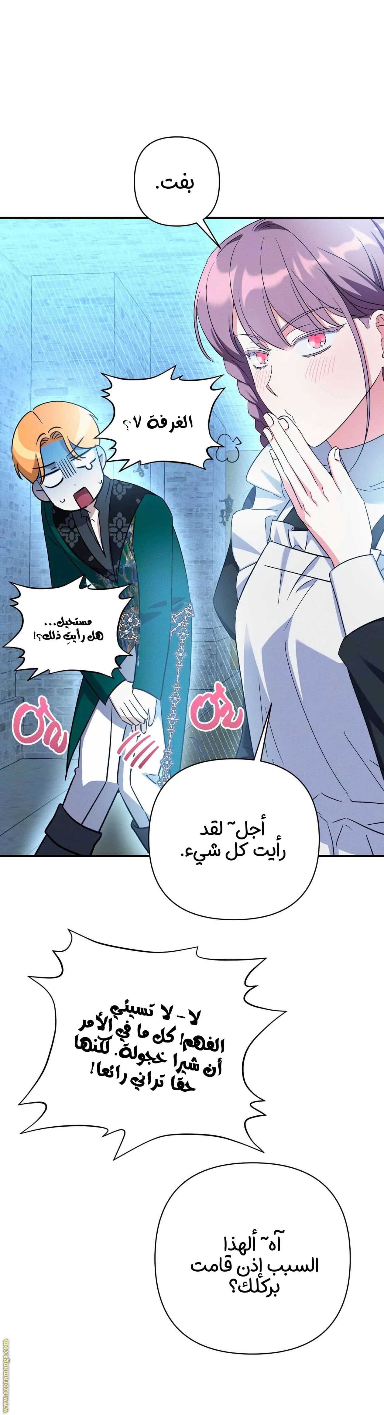 الصفحة 29