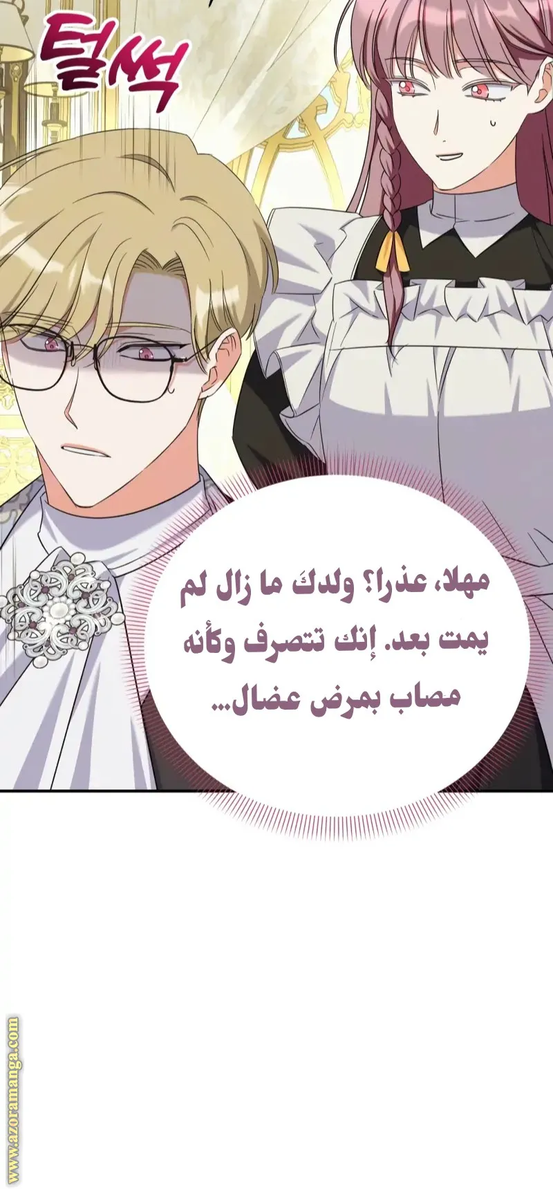 الصفحة 25