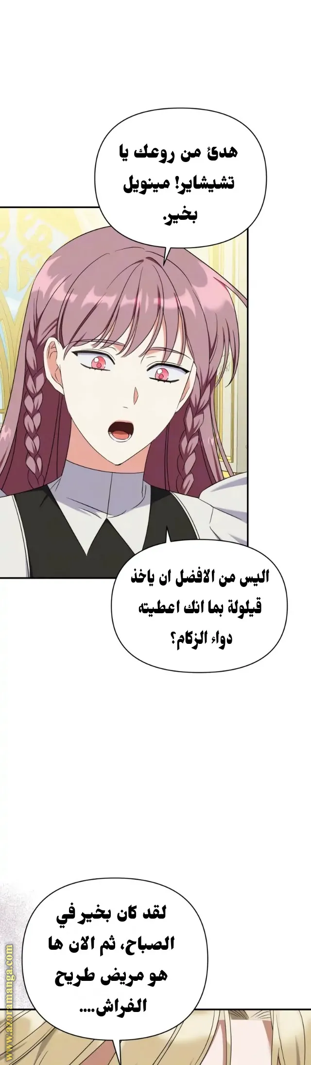 الصفحة 26