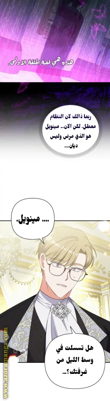 الصفحة 41