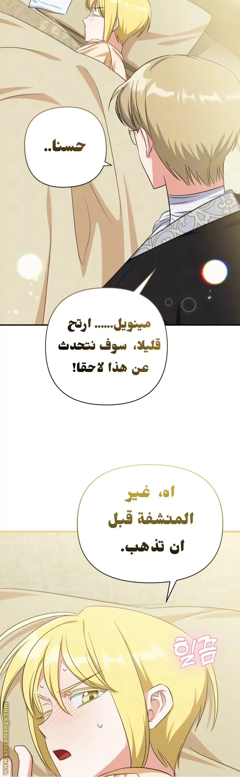 الصفحة 46