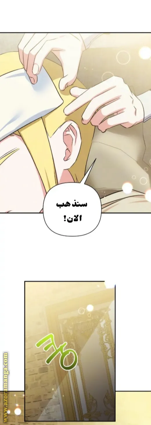 الصفحة 48